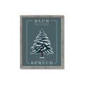 Picture of Blue Spruce _GroupedProduct_Rectangle_Portrait_Framed_Matted_