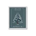 Picture of Blue Spruce _GroupedProduct_Rectangle_Portrait_Framed_Matted_