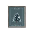 Picture of Blue Spruce _GroupedProduct_Rectangle_Portrait_Framed_Matted_
