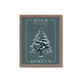 Picture of Blue Spruce _GroupedProduct_Rectangle_Portrait_Framed_Matted_