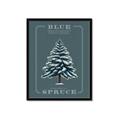 Picture of Blue Spruce _GroupedProduct_Rectangle_Portrait_Framed_Matted_