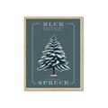 Picture of Blue Spruce _GroupedProduct_Rectangle_Portrait_Framed_Matted_