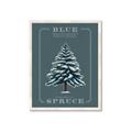 Picture of Blue Spruce _GroupedProduct_Rectangle_Portrait_Framed_Matted_
