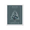 Picture of Blue Spruce _GroupedProduct_Rectangle_Portrait_Framed_Matted_