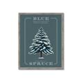 Picture of Blue Spruce _GroupedProduct_Rectangle_Portrait_Framed_Matted_
