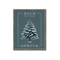 Picture of Blue Spruce _GroupedProduct_Rectangle_Portrait_Framed_Matted_
