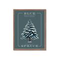 Picture of Blue Spruce _GroupedProduct_Rectangle_Portrait_Framed_Matted_