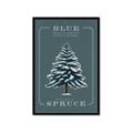 Picture of Blue Spruce _GroupedProduct_Rectangle_Portrait_Framed_Matted_