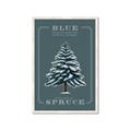 Picture of Blue Spruce _GroupedProduct_Rectangle_Portrait_Framed_Matted_