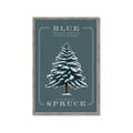Picture of Blue Spruce _GroupedProduct_Rectangle_Portrait_Framed_Matted_