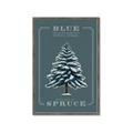Picture of Blue Spruce _GroupedProduct_Rectangle_Portrait_Framed_Matted_