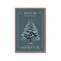 Picture of Blue Spruce _GroupedProduct_Rectangle_Portrait_Framed_Matted_