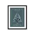 Picture of Blue Spruce _GroupedProduct_Rectangle_Portrait_Framed_Matted_