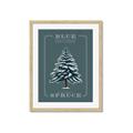 Picture of Blue Spruce _GroupedProduct_Rectangle_Portrait_Framed_Matted_
