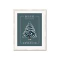 Picture of Blue Spruce _GroupedProduct_Rectangle_Portrait_Framed_Matted_