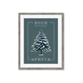 Picture of Blue Spruce _GroupedProduct_Rectangle_Portrait_Framed_Matted_