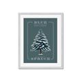 Picture of Blue Spruce _GroupedProduct_Rectangle_Portrait_Framed_Matted_