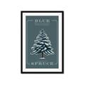 Picture of Blue Spruce _GroupedProduct_Rectangle_Portrait_Framed_Matted_