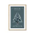 Picture of Blue Spruce _GroupedProduct_Rectangle_Portrait_Framed_Matted_