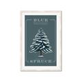 Picture of Blue Spruce _GroupedProduct_Rectangle_Portrait_Framed_Matted_