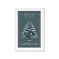 Picture of Blue Spruce _GroupedProduct_Rectangle_Portrait_Framed_Matted_
