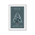 Picture of Blue Spruce _GroupedProduct_Rectangle_Portrait_Framed_Matted_