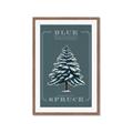 Picture of Blue Spruce _GroupedProduct_Rectangle_Portrait_Framed_Matted_