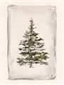 Picture of O Christmas Tree II _GroupedProduct_Rectangle_Portrait_Unframed_Print_Only_