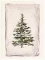 Picture of O Christmas Tree II _GroupedProduct_Rectangle_Portrait_Unframed_Print_Only_