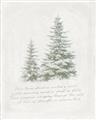 Picture of Winter Wonderland Trees _GroupedProduct_Rectangle_Portrait_Unframed_Print_Only_