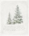 Picture of Winter Wonderland Trees _GroupedProduct_Rectangle_Portrait_Unframed_Print_Only_