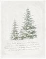 Picture of Winter Wonderland Trees _GroupedProduct_Rectangle_Portrait_Unframed_Print_Only_