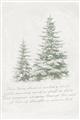 Picture of Winter Wonderland Trees _GroupedProduct_Rectangle_Portrait_Unframed_Print_Only_
