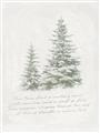 Picture of Winter Wonderland Trees _GroupedProduct_Rectangle_Portrait_Unframed_Print_Only_