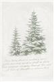 Picture of Winter Wonderland Trees _GroupedProduct_Rectangle_Portrait_Unframed_Print_Only_