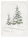 Picture of Winter Wonderland Trees _GroupedProduct_Rectangle_Portrait_Unframed_Print_Only_