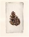Picture of Nature's Holiday Charm I _GroupedProduct_Rectangle_Portrait_Unframed_Print_Only_