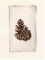 Picture of Nature's Holiday Charm I _GroupedProduct_Rectangle_Portrait_Unframed_Print_Only_