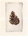Picture of Nature's Holiday Charm I _GroupedProduct_Rectangle_Portrait_Unframed_Print_Only_