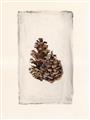 Picture of Nature's Holiday Charm I _GroupedProduct_Rectangle_Portrait_Unframed_Print_Only_