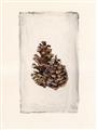 Picture of Nature's Holiday Charm I _GroupedProduct_Rectangle_Portrait_Unframed_Print_Only_