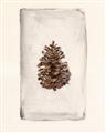 Picture of Nature's Holiday Charm II _GroupedProduct_Rectangle_Portrait_Unframed_Print_Only_