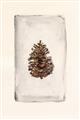 Picture of Nature's Holiday Charm II _GroupedProduct_Rectangle_Portrait_Unframed_Print_Only_