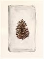 Picture of Nature's Holiday Charm II _GroupedProduct_Rectangle_Portrait_Unframed_Print_Only_