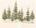 Picture of Joyful Pines _GroupedProduct_Rectangle_Landscape_Unframed_Print_Only_