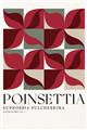 Picture of Poinsettia _GroupedProduct_Rectangle_Portrait_Unframed_Print_Only_