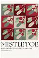 Picture of Mistletoe _GroupedProduct_Rectangle_Portrait_Unframed_Print_Only_