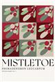 Picture of Mistletoe _GroupedProduct_Rectangle_Portrait_Unframed_Print_Only_