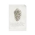 Picture of Pinecone Tidings I _GroupedProduct_Rectangle_Portrait_Unframed_Print_Only_