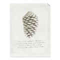 Picture of Pinecone Tidings I _GroupedProduct_Rectangle_Portrait_Unframed_Print_Only_